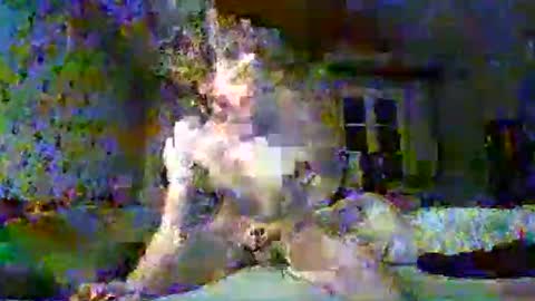 Snapshot of scratt67 chatting on 11-22-25, 03:38 scratt67 online show from 11-22-25, 03:38