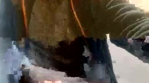 Snapshot of sebtin1979 chatting on 02-23-26, 02:36 sebtin1979 online show from 02-23-26, 02:36