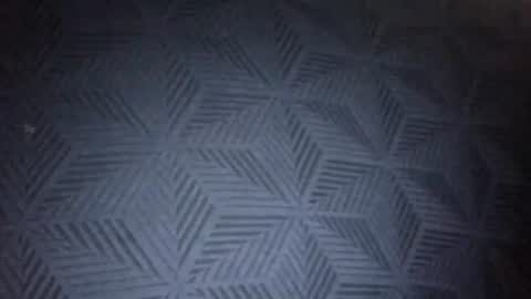 Sunny online show from 01-31-26, 08:51