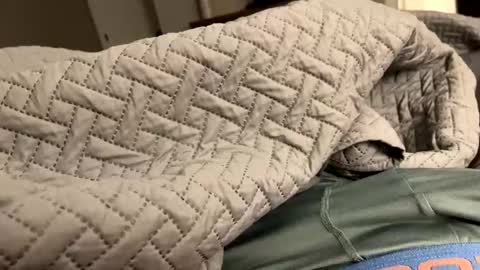 Snapshot of secretlyseductive9399 chatting on 12-08-24, 01:14 secretlyseductive9399 online show from 12-08-24, 01:14