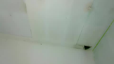 seducive_allea online show from 12-20-25, 07:04