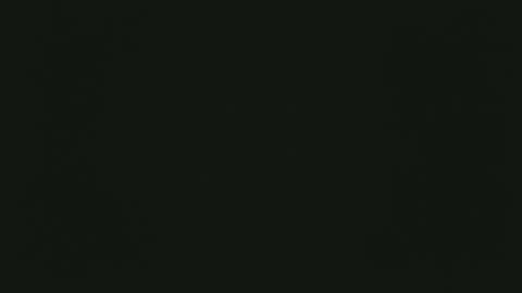 selfpound online show from 12-15-25, 04:33