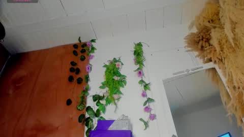 sexking_david online show from 12-22-25, 11:02