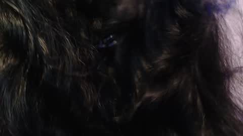    online show from 01-15-25, 03:33