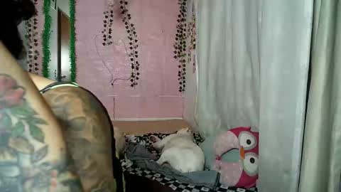 sexy lolas online show from 10-08-25, 01:36