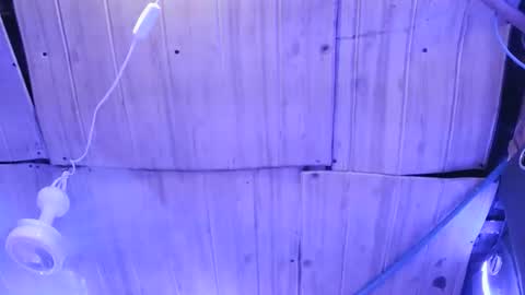 sexy_margaret7 online show from 11-23-25, 04:34