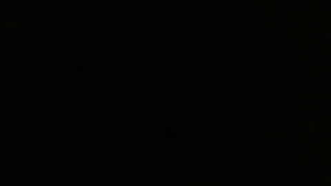 sexy_string online show from 01-19-25, 05:49