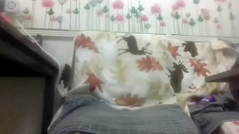 Snapshot of sexy_white_daddy chatting on 02-04-26, 12:00 Daddy online show from 02-04-26, 12:00