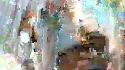 taiyan online show from 02-15-25, 01:31