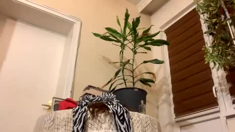 Snapshot of sexysexydream chatting on 01-22-25, 08:17 Anya online show from 01-22-25, 08:17