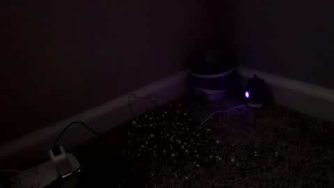 Snapshot of sgrbrnxxx chatting on 03-04-26, 03:18 Sugar Brown online show from 03-04-26, 03:18