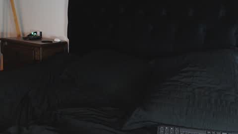 Shane online show from 12-06-24, 11:57