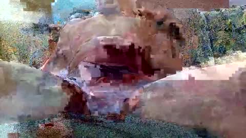 excelo21 online show from 10-26-25, 07:14