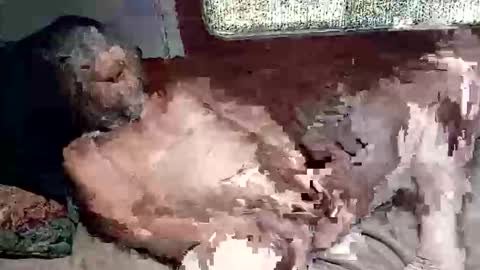 Shamroc online show from 03-04-26, 02:45