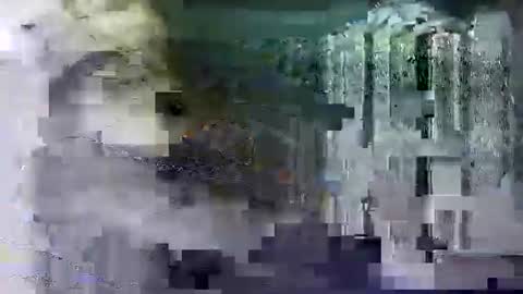 Snapshot of shashee870242 chatting on 02-14-25, 05:25 Shashee870242 online show from 02-14-25, 05:25
