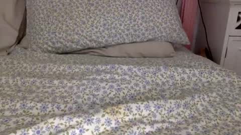 shavednsw online show from 03-28-26, 08:58