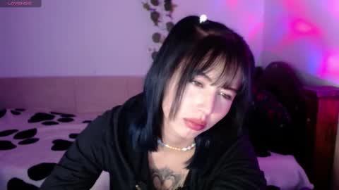 Shayla 3 online show from 10-06-25, 08:39