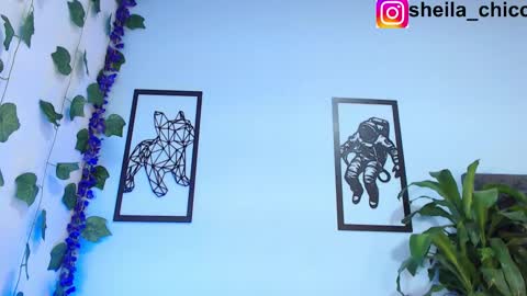 SHEILA  online show from 02-26-25, 02:25