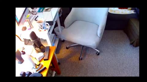 Shelaacd online show from 10-16-25, 12:39