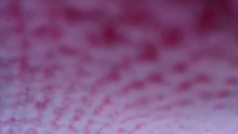 Snapshot of shelsyzevee_ chatting on 10-23-25, 04:50 shelsyzevee_ online show from 10-23-25, 04:50