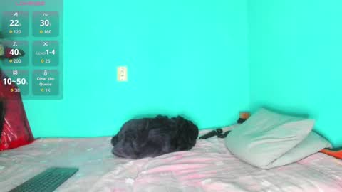 shera hade online show from 11-19-25, 05:24