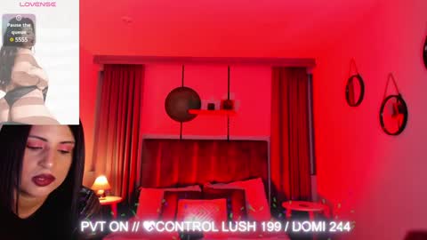 Snapshot of sheyla_hills_ chatting on 01-30-25, 04:06 Sheyla online show from 01-30-25, 04:06