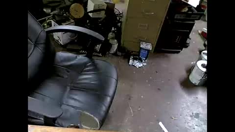 Shoani online show from 11-08-25, 07:41