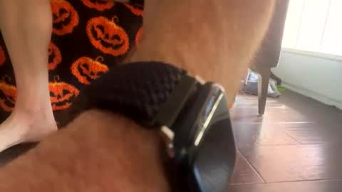 Snapshot of shortshortsman chatting on 10-08-25, 05:10 shortshortsman online show from 10-08-25, 05:10