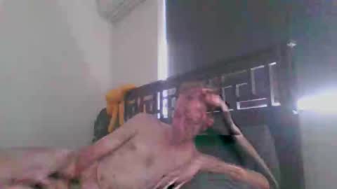 JustAbitCheeky online show from 12-20-25, 12:40