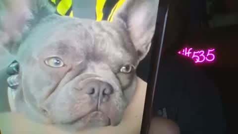 RBXs Princess online show from 02-27-26, 02:55