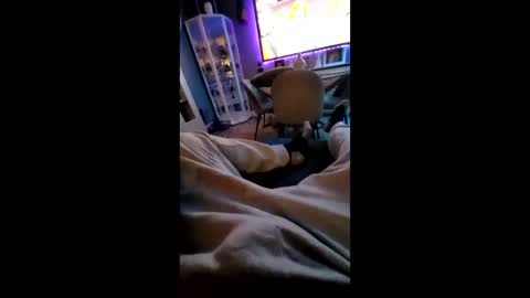 shynessy online show from 02-10-25, 12:19