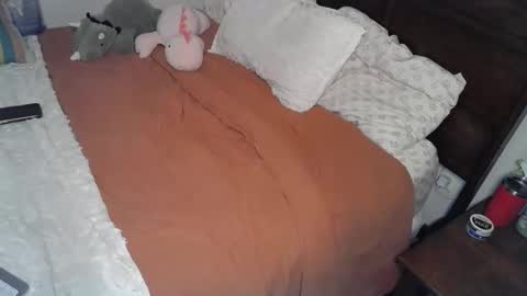 shypetitebaby online show from 03-12-26, 05:08