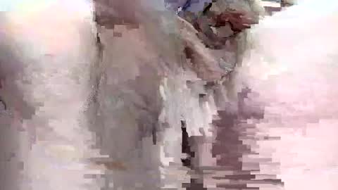 Snapshot of sigmaelixer chatting on 09-29-25, 09:08 sigmaelixer online show from 09-29-25, 09:08