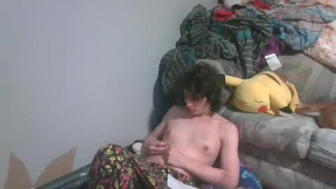 Snapshot of sillycutecow chatting on 01-15-25, 10:13 Hailey online show from 01-15-25, 10:13