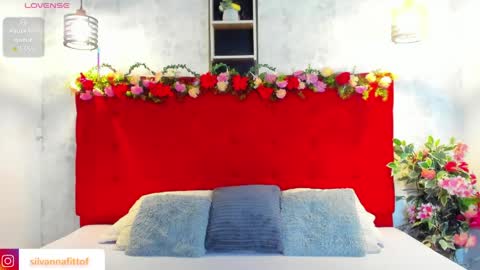 Snapshot of silvannafit chatting on 04-02-26, 09:07 Silvana Fit online show from 04-02-26, 09:07