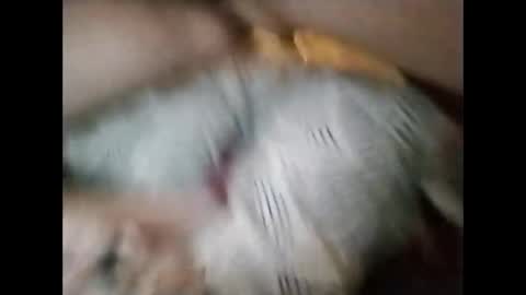 sinbook611 online show from 10-23-25, 10:58