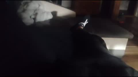 Snapshot of siren666777 chatting on 10-16-25, 05:36 siren666777 online show from 10-16-25, 05:36