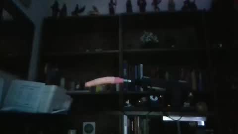 Sissyonaleash online show from 03-10-26, 09:03