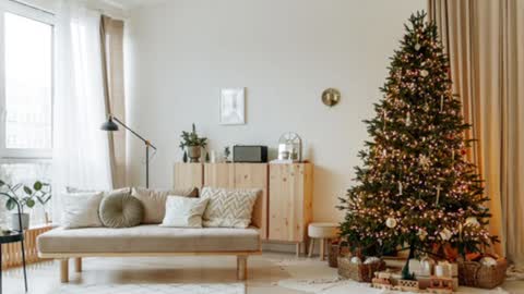 Elise online show from 12-19-24, 02:02