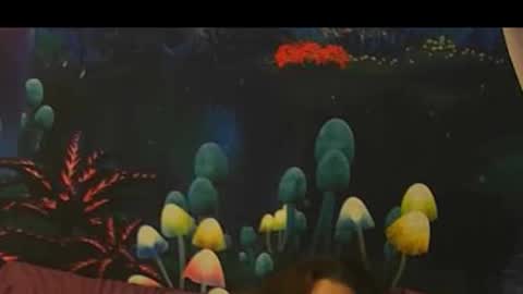 sk_bert online show from 12-01-25, 03:55