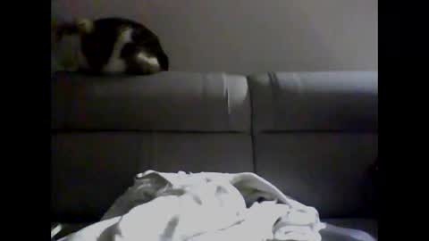 Snapshot of skater19xxx chatting on 12-02-24, 04:09 miguel online show from 12-02-24, 04:09