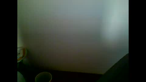 Snapshot of skater19xxx chatting on 03-07-25, 04:11 miguel online show from 03-07-25, 04:11