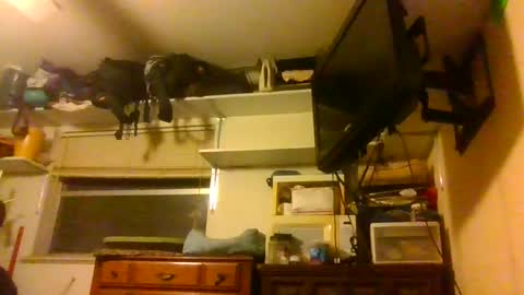 skewedviewblue online show from 12-05-25, 03:37