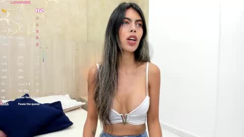 Snapshot of skinny_noa chatting on 09-20-25, 11:33 Noa online show from 09-20-25, 11:33