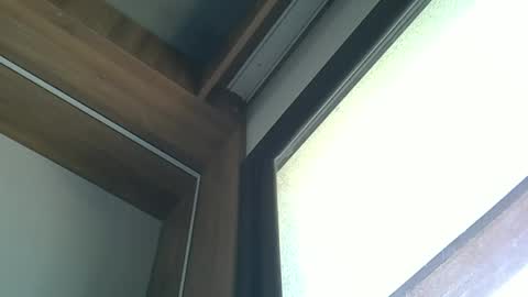 skinnykittencam online show from 10-05-25, 03:10