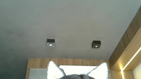 skinnykittencam online show from 10-20-25, 05:13