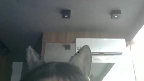 skinnykittencam online show from 01-08-26, 02:58