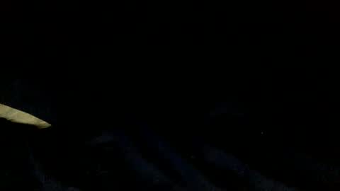 skinnypole6 online show from 12-04-24, 06:06