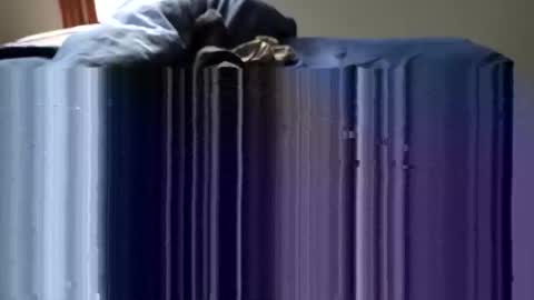 Snapshot of slappincheeks299 chatting on 10-28-25, 10:23 slappincheeks299 online show from 10-28-25, 10:23