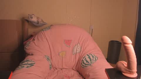 Snapshot of slaty_sugar chatting on 01-20-25, 02:46 Nika online show from 01-20-25, 02:46